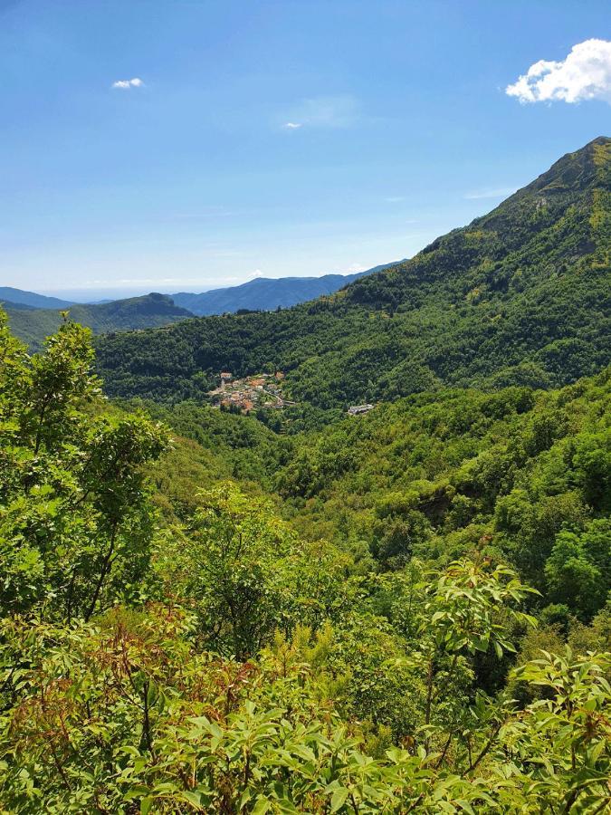 Il Bosco Di Campo Marzano Rooms & Apartments Borzonasca Εξωτερικό φωτογραφία