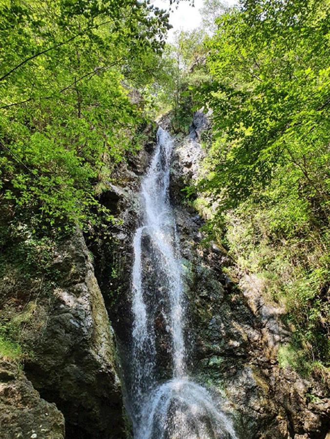 Il Bosco Di Campo Marzano Rooms & Apartments Borzonasca Εξωτερικό φωτογραφία