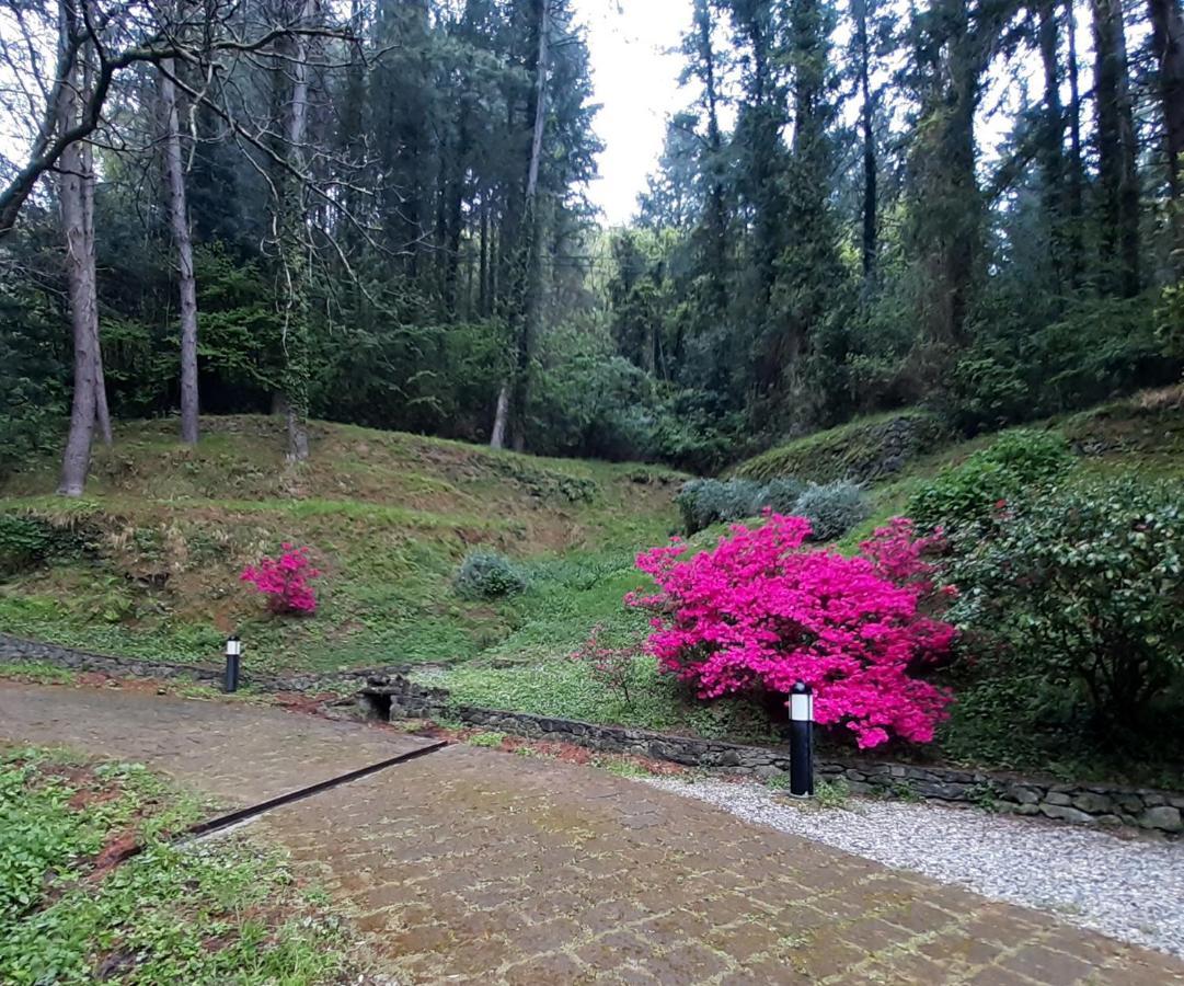 Il Bosco Di Campo Marzano Rooms & Apartments Borzonasca Εξωτερικό φωτογραφία