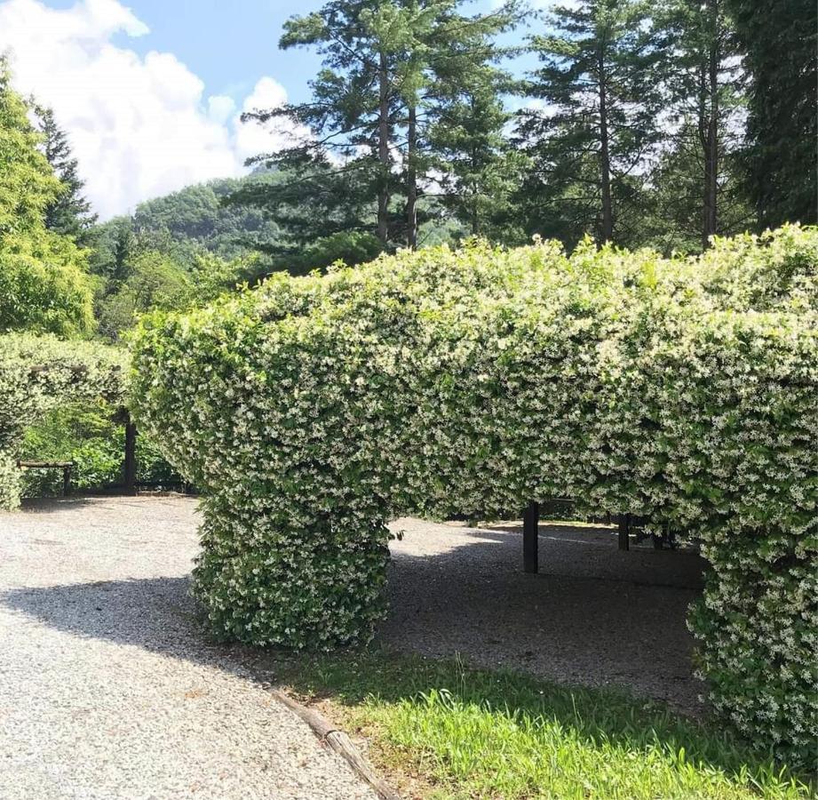 Il Bosco Di Campo Marzano Rooms & Apartments Borzonasca Εξωτερικό φωτογραφία