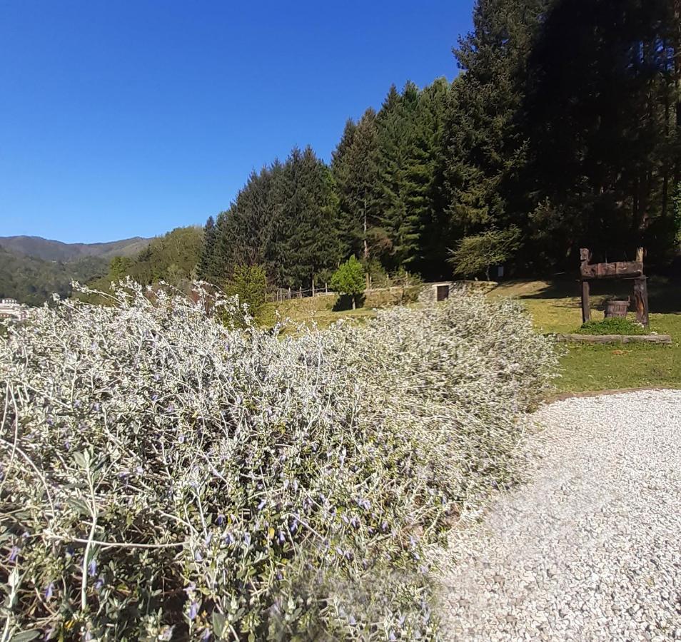 Il Bosco Di Campo Marzano Rooms & Apartments Borzonasca Εξωτερικό φωτογραφία