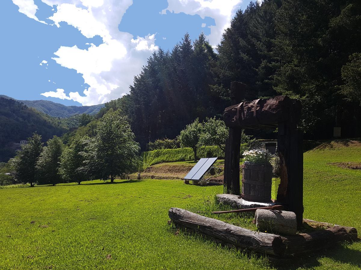 Il Bosco Di Campo Marzano Rooms & Apartments Borzonasca Εξωτερικό φωτογραφία