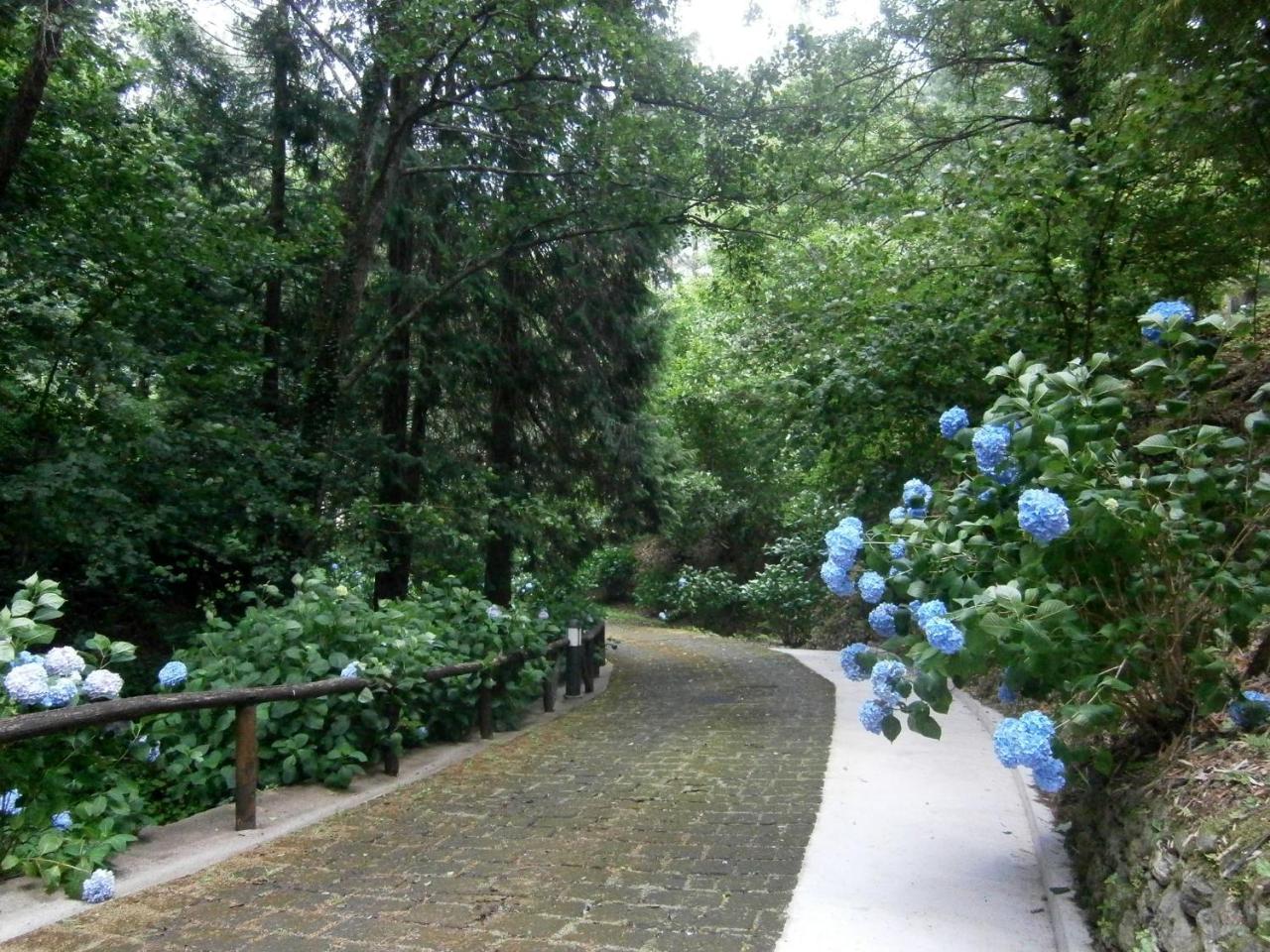 Il Bosco Di Campo Marzano Rooms & Apartments Borzonasca Εξωτερικό φωτογραφία