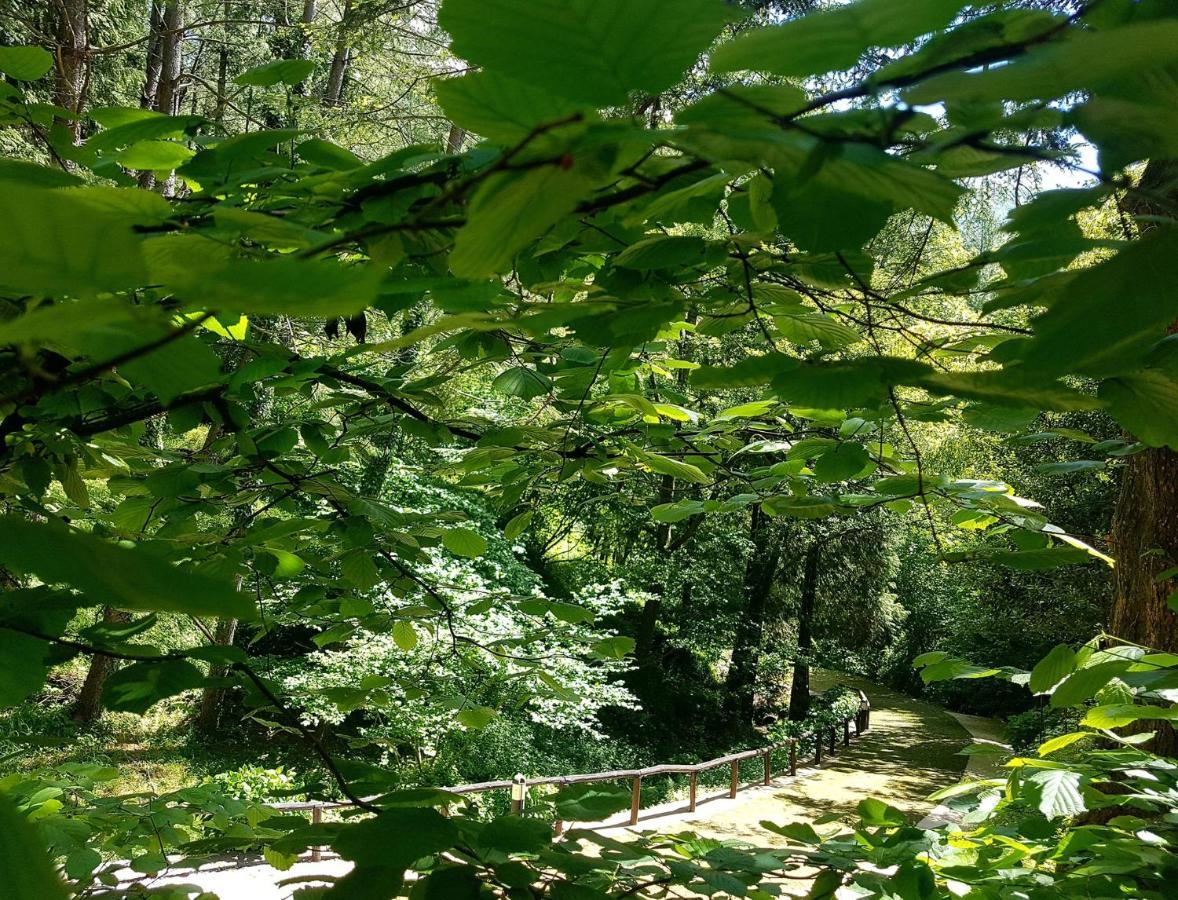 Il Bosco Di Campo Marzano Rooms & Apartments Borzonasca Εξωτερικό φωτογραφία